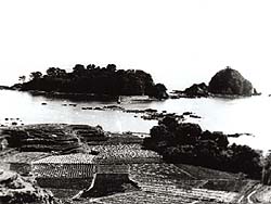 昭和20年代　咸陽島