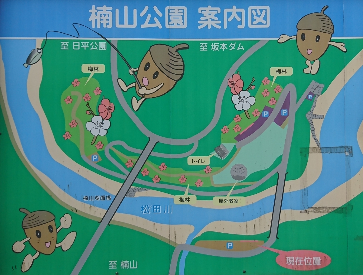 梅の木公園案内図