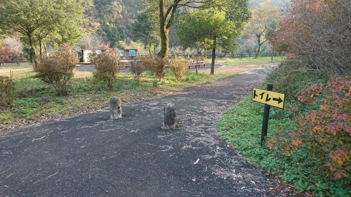 梅の木公園通路の写真