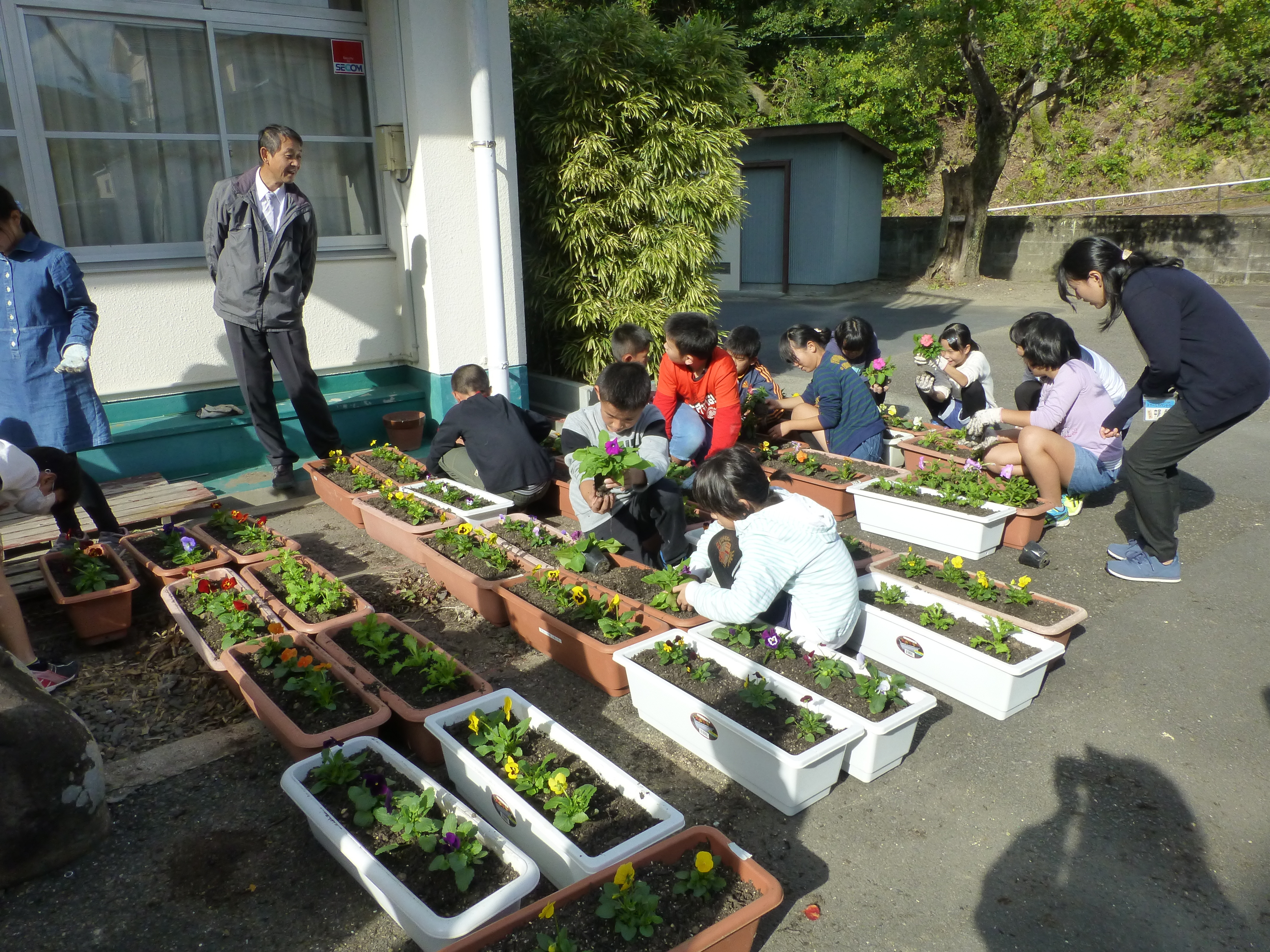 小筑紫小学校、10／30人権の花 076.JPG