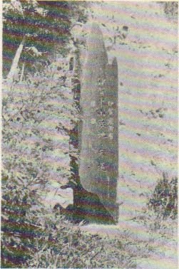伊賀東山墓地標柱