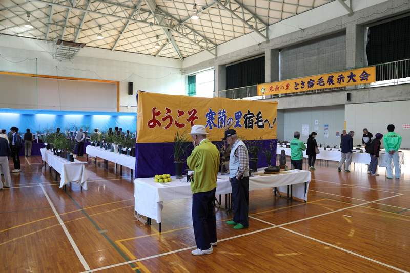 寒蘭展示会場の様子