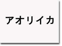 アオリイカ