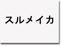 スルメイカ