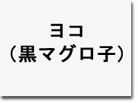 ヨコ(黒マグロ子)