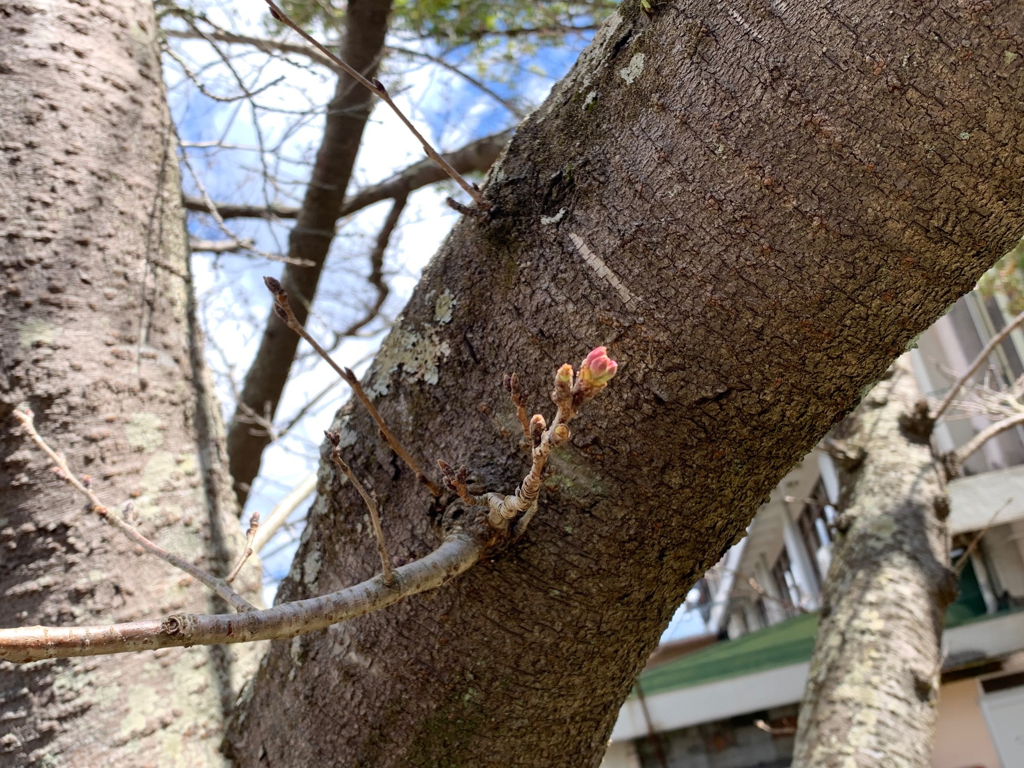 0316春長児童公園1