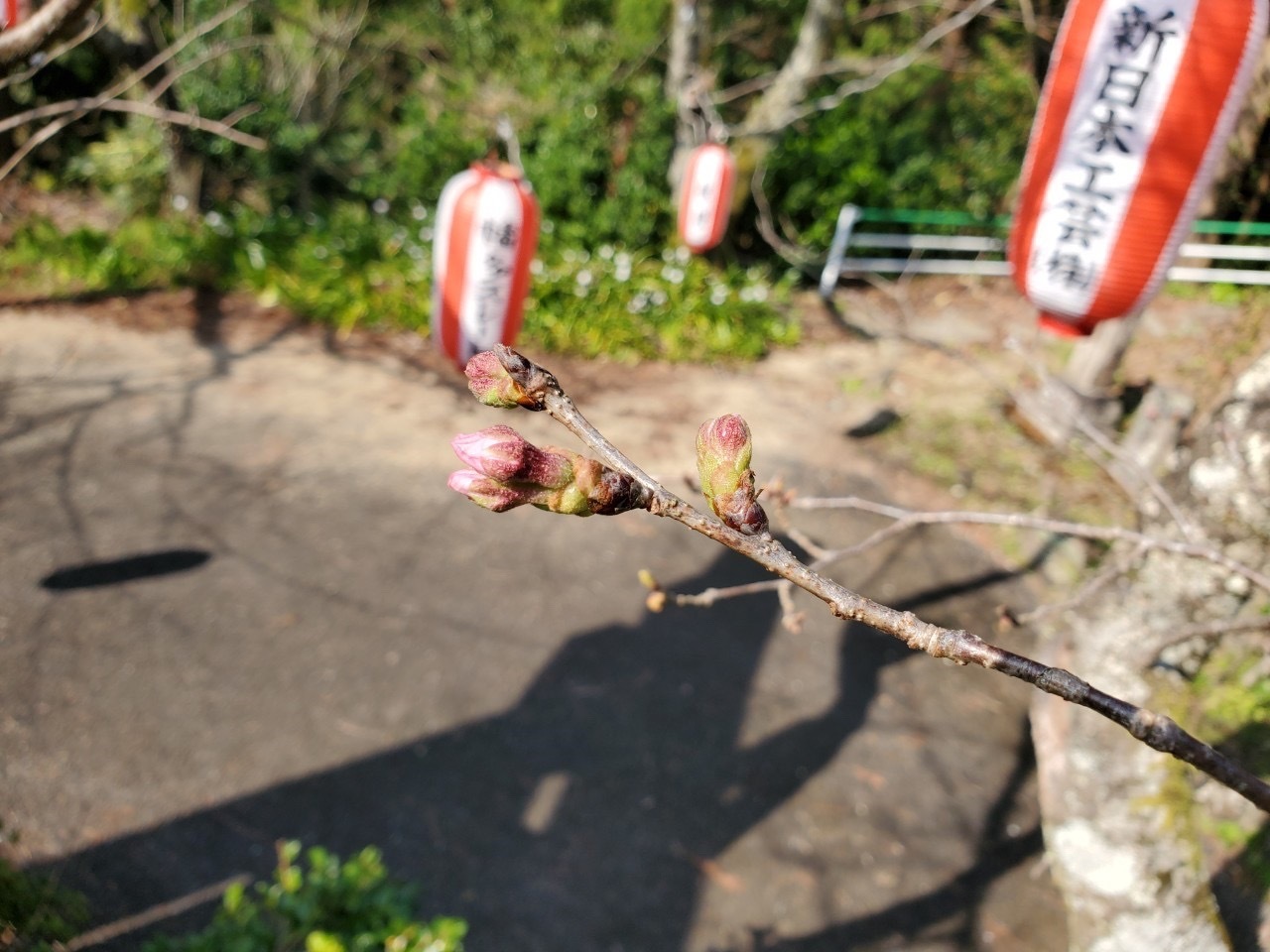 0323天満宮2.JPG