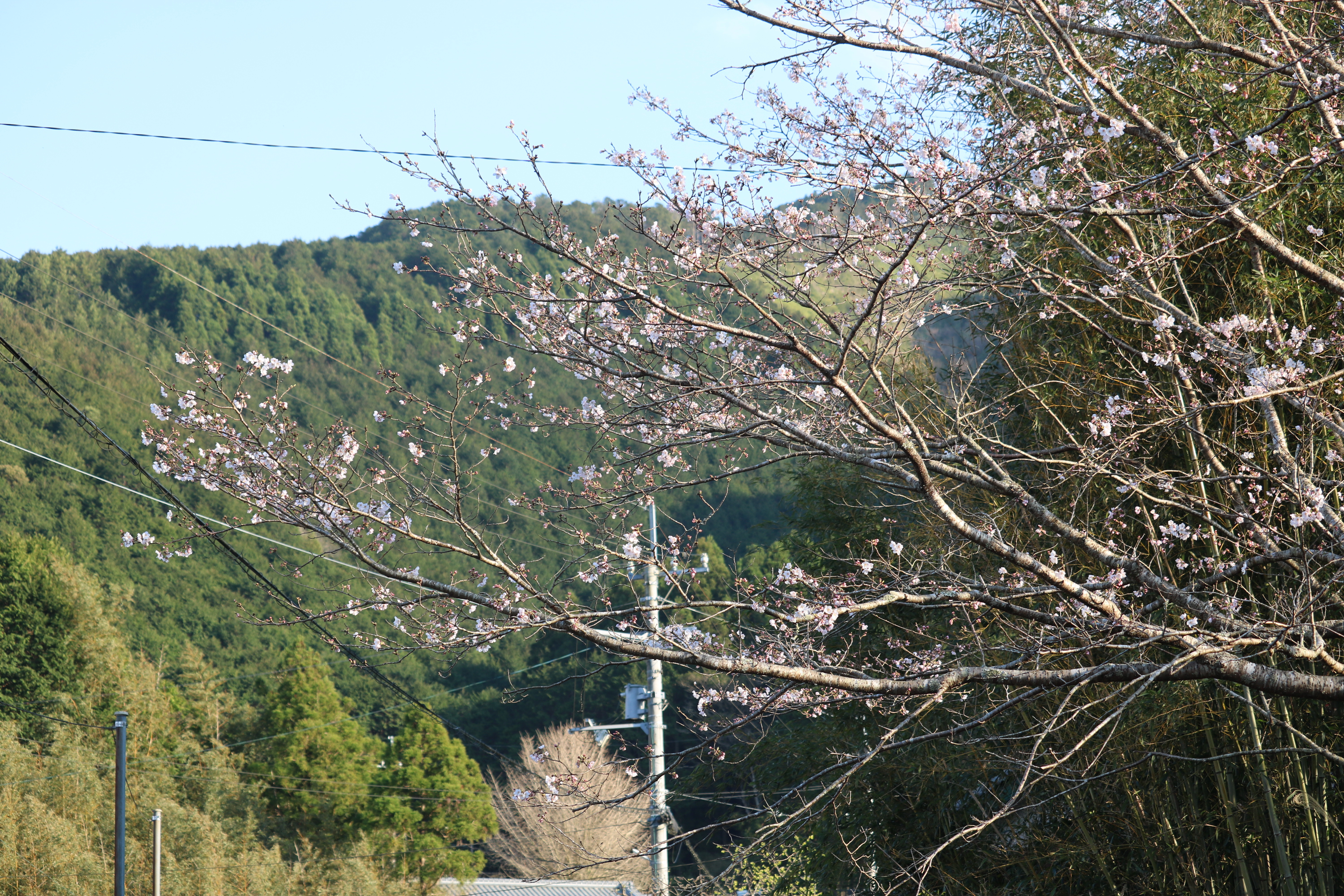 0325正和1.JPG