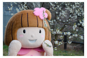 みどりと自然あふれるまちづくり
