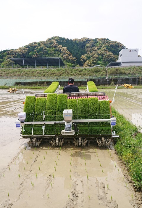 田植え7.jpg