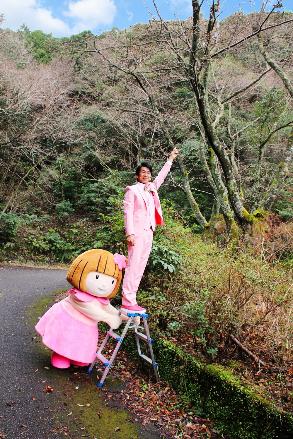 桜開花写真1