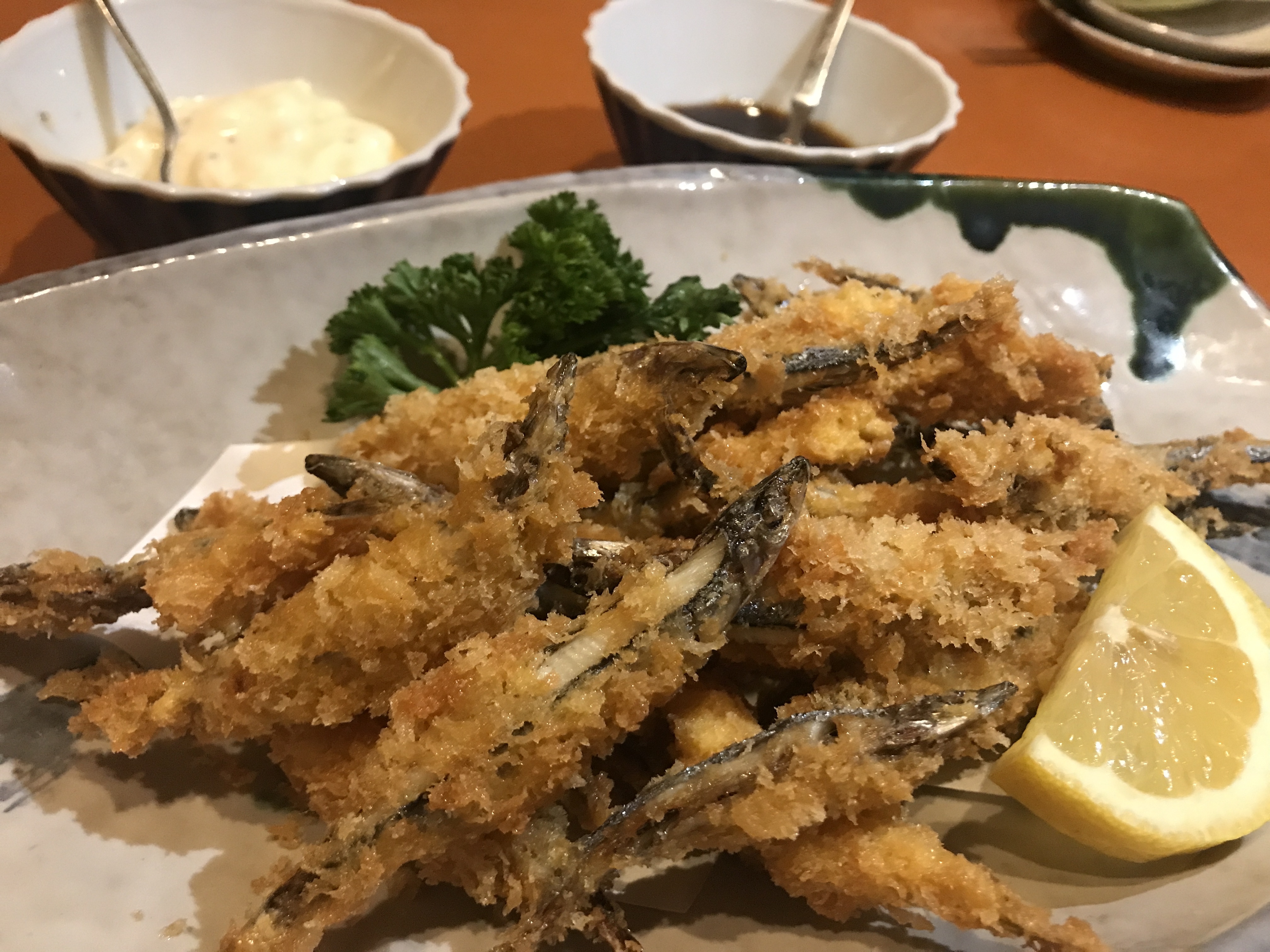 キビナゴ 宿毛市