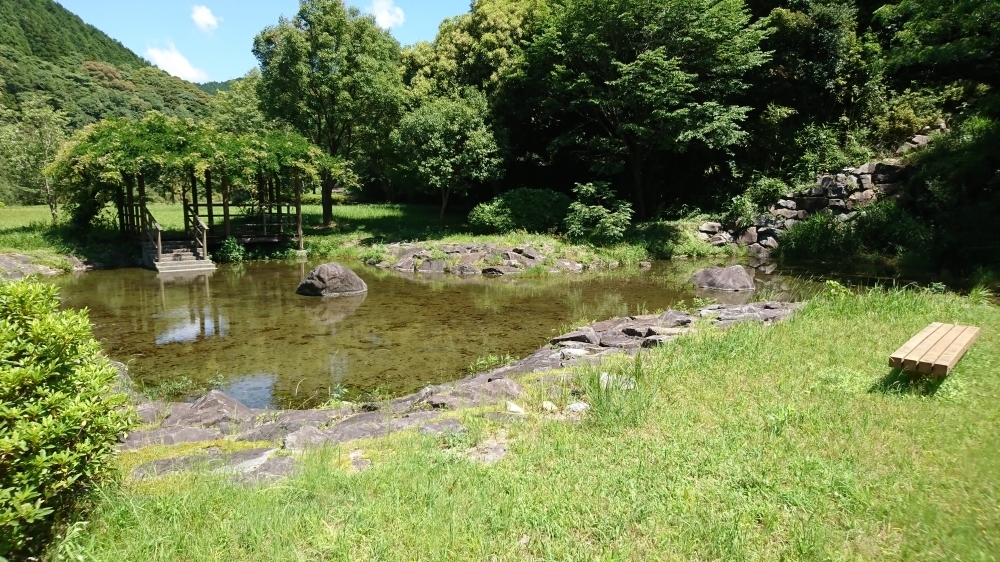 池の写真