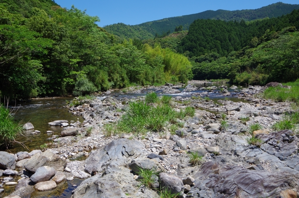 河原の写真