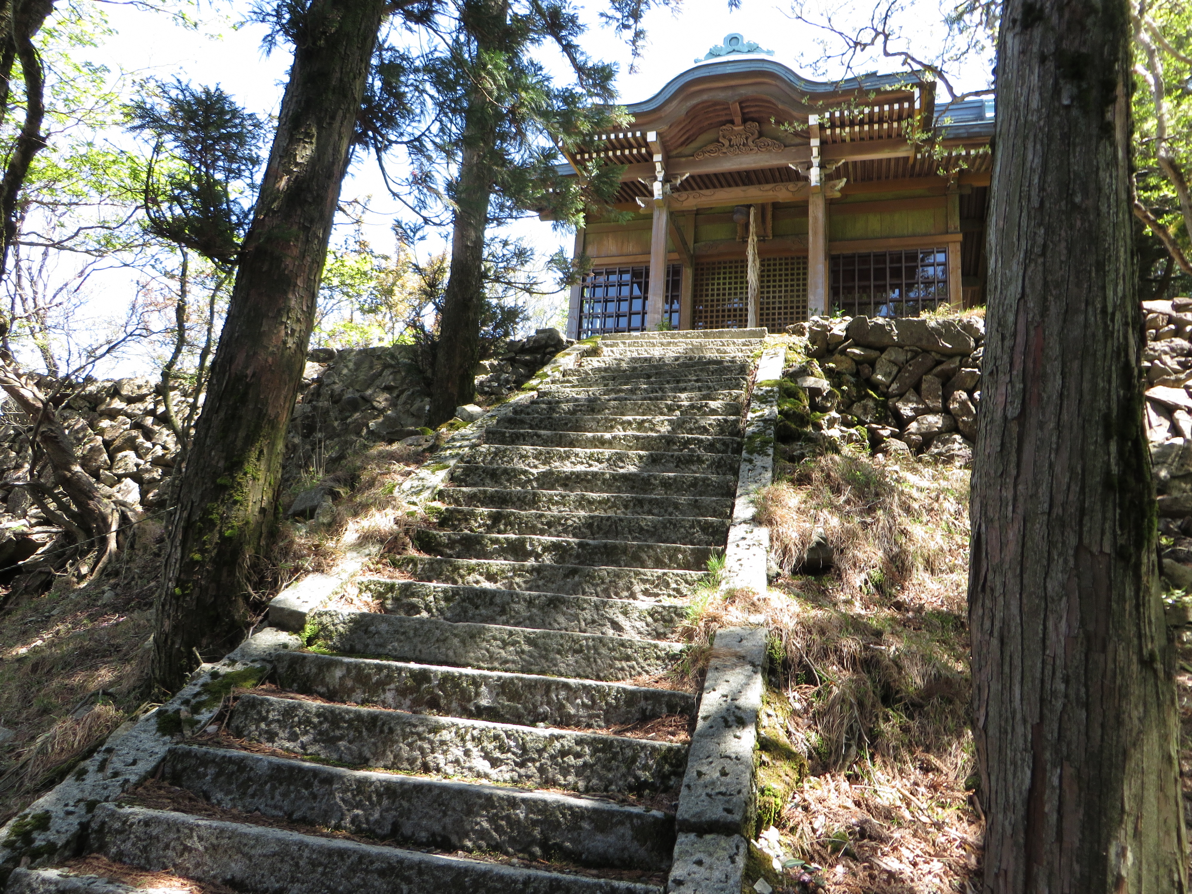 篠山神社の写真