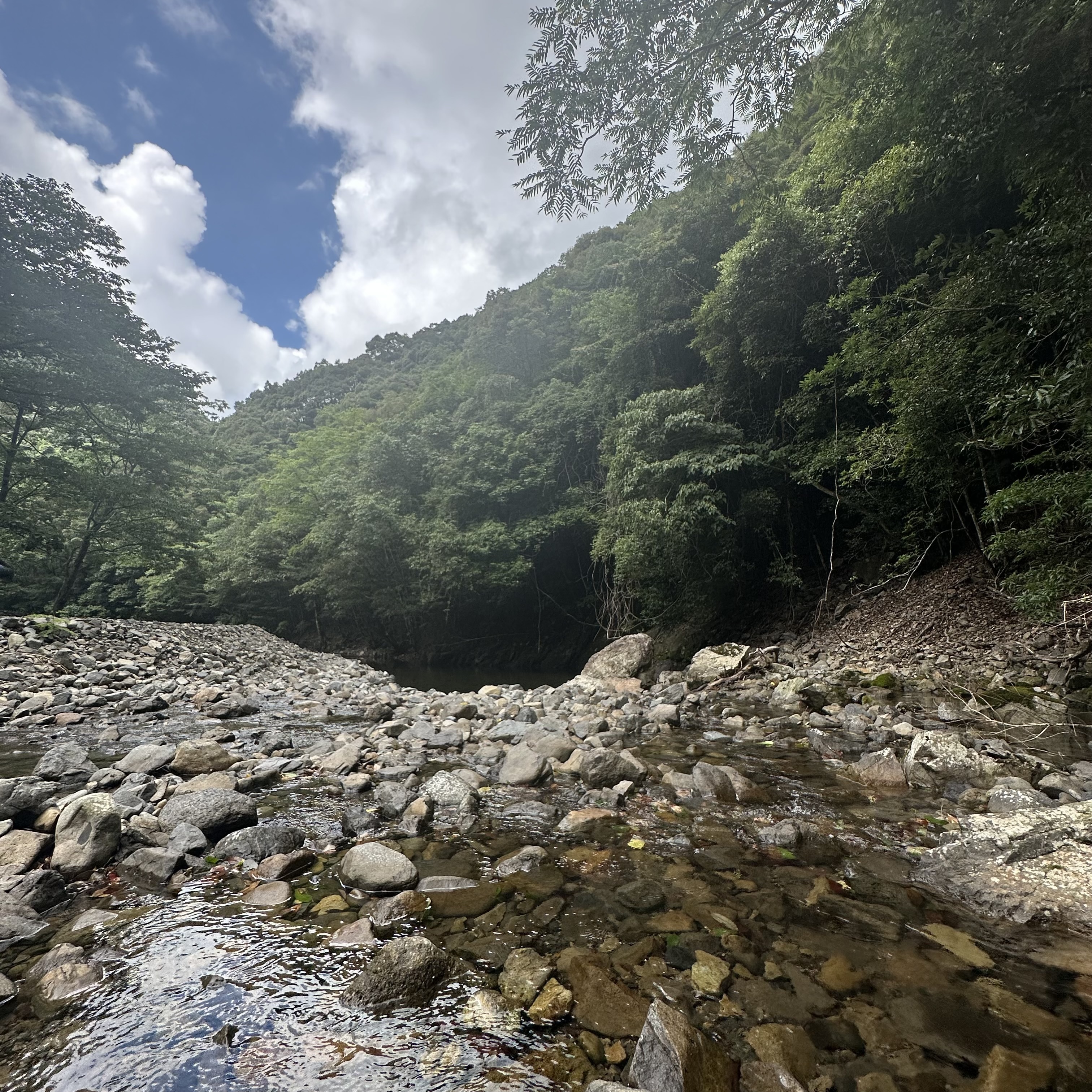 もみじ広場