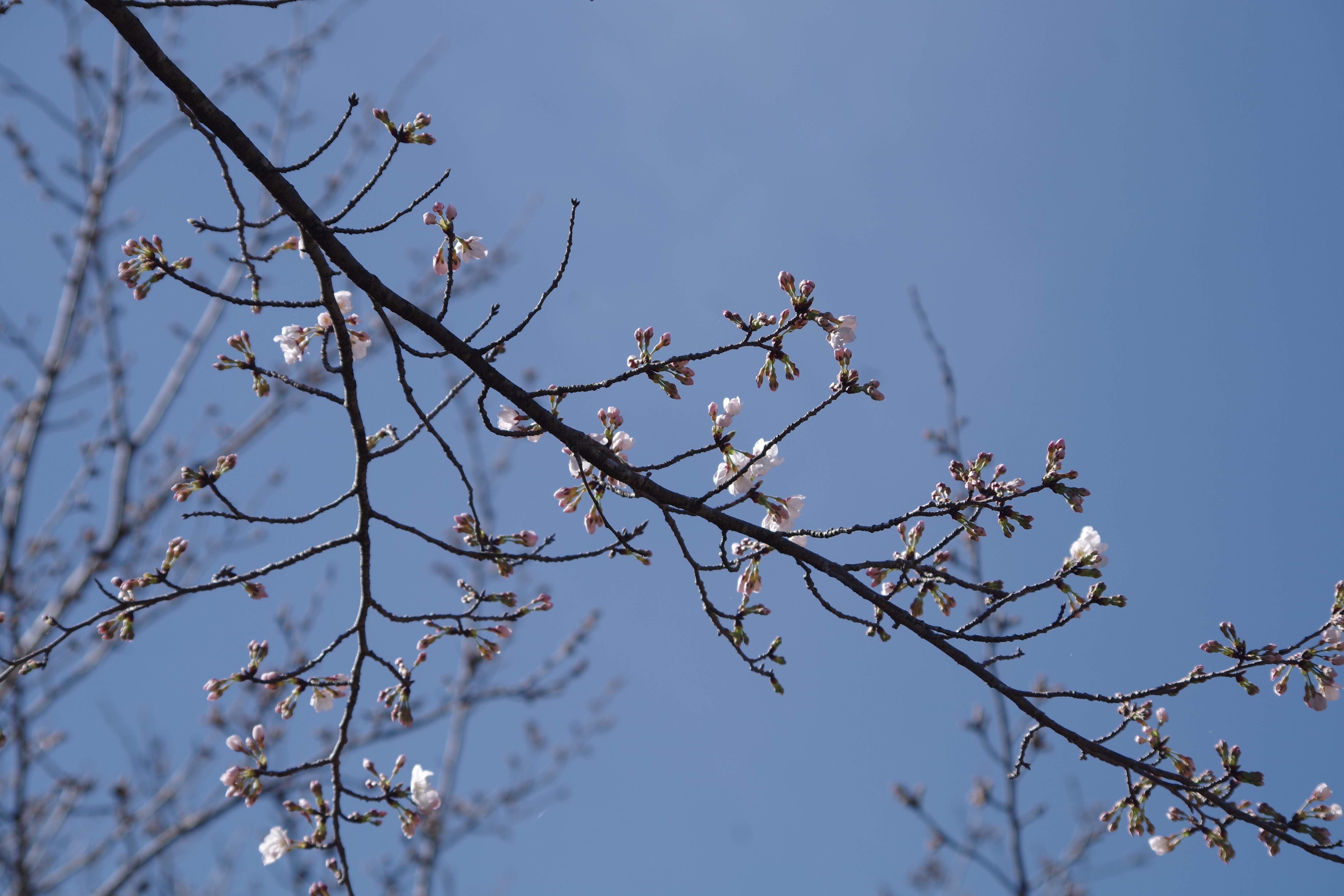 天満宮.JPG