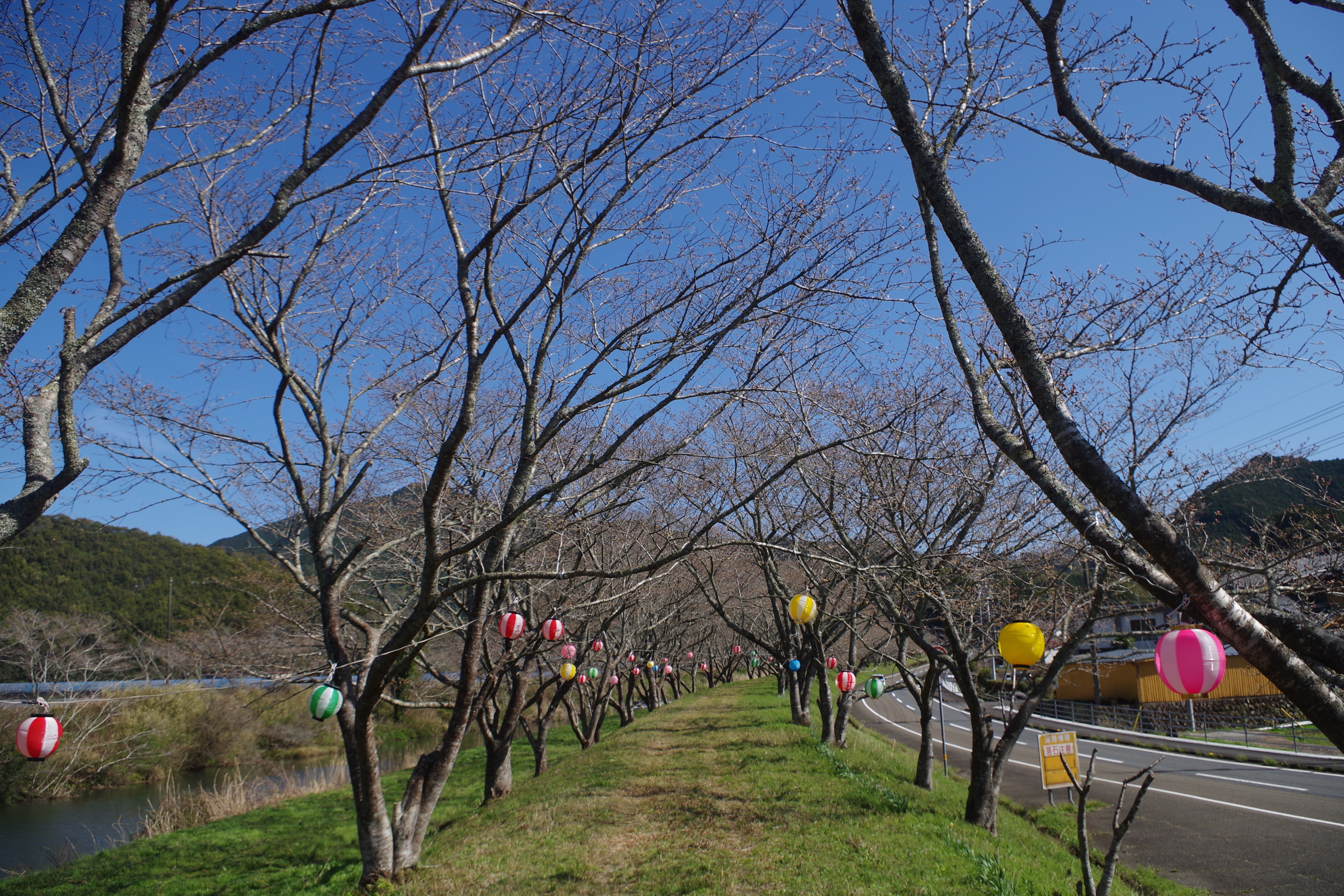 平田町黒川.JPG