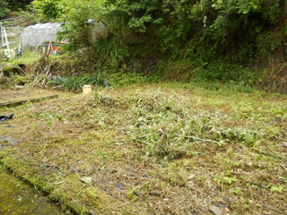 DSCN7410.JPG