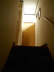 DSCN7405.JPG