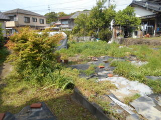 DSCN7348.JPG