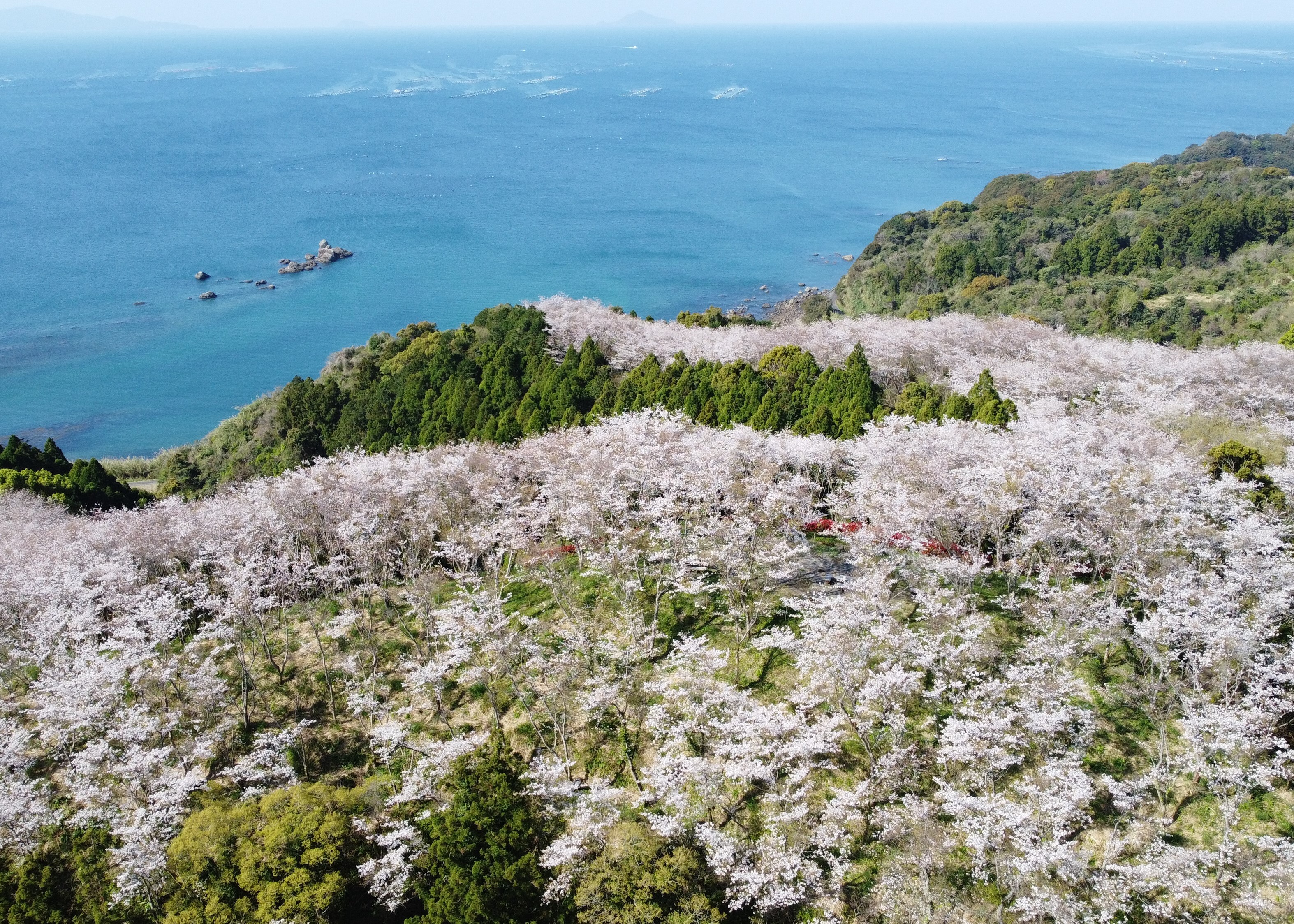 商工観光課(地域おこし協力隊).jpg