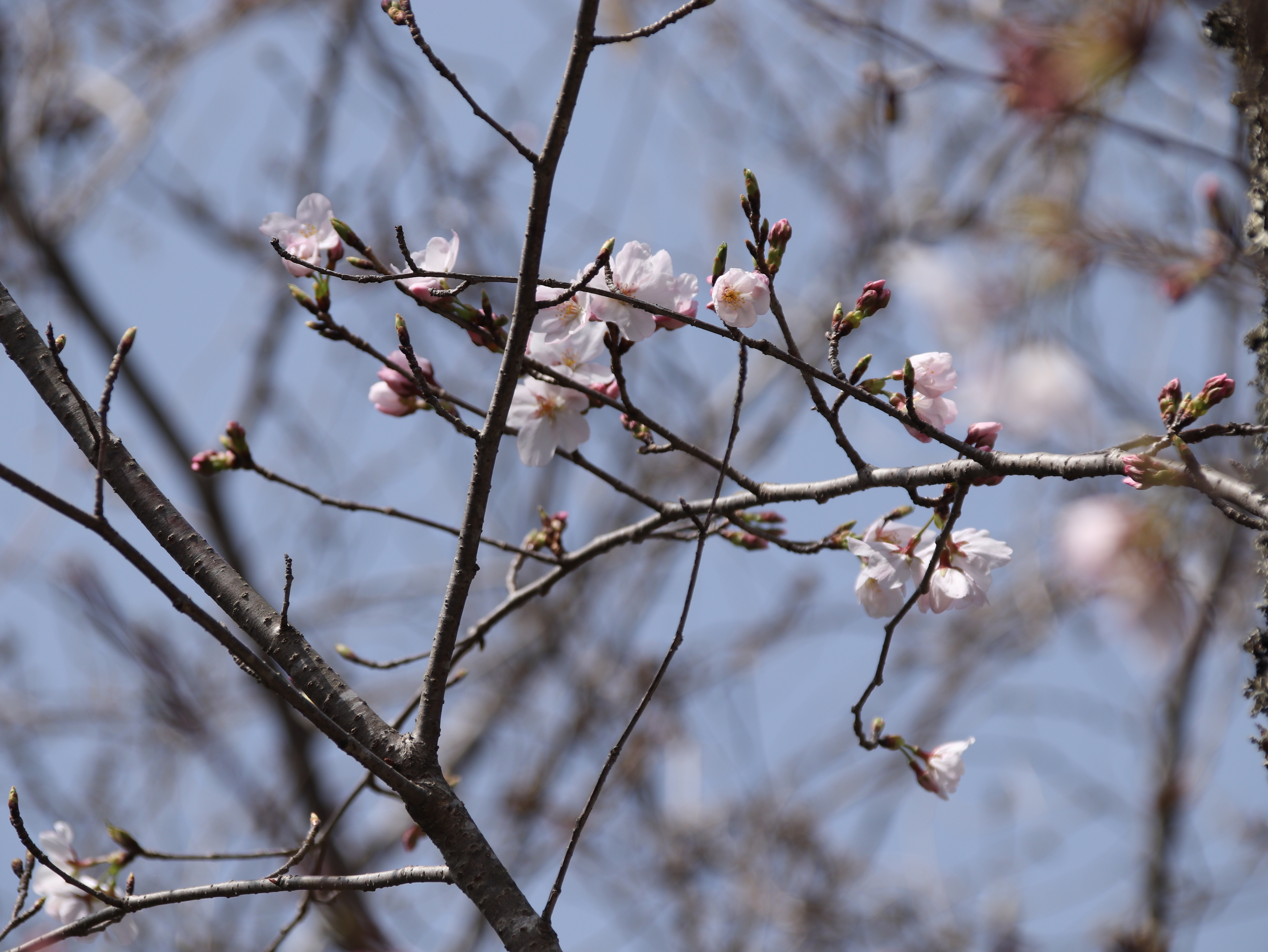 天満宮_1.JPG