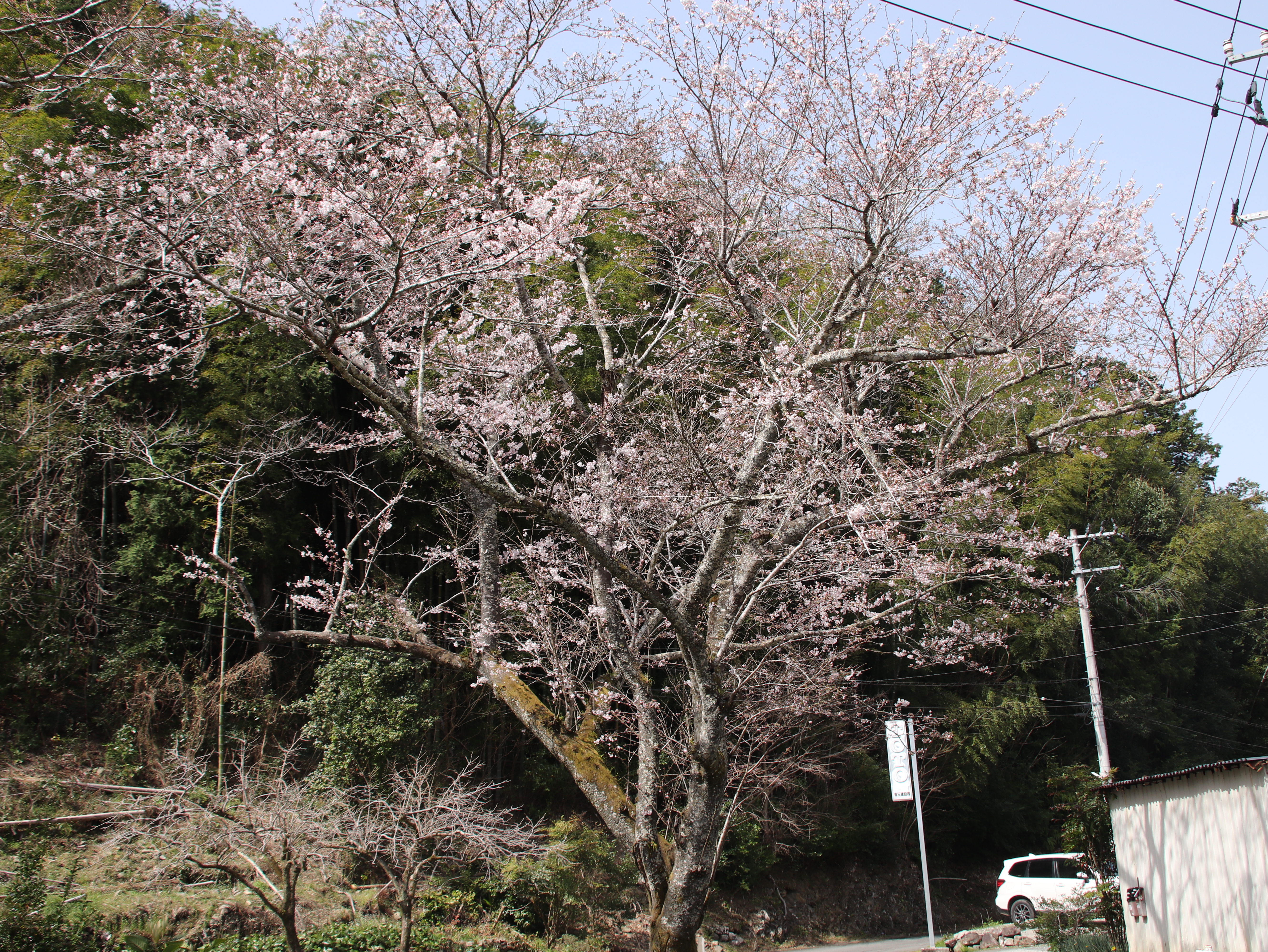 荒瀬山_1.JPG