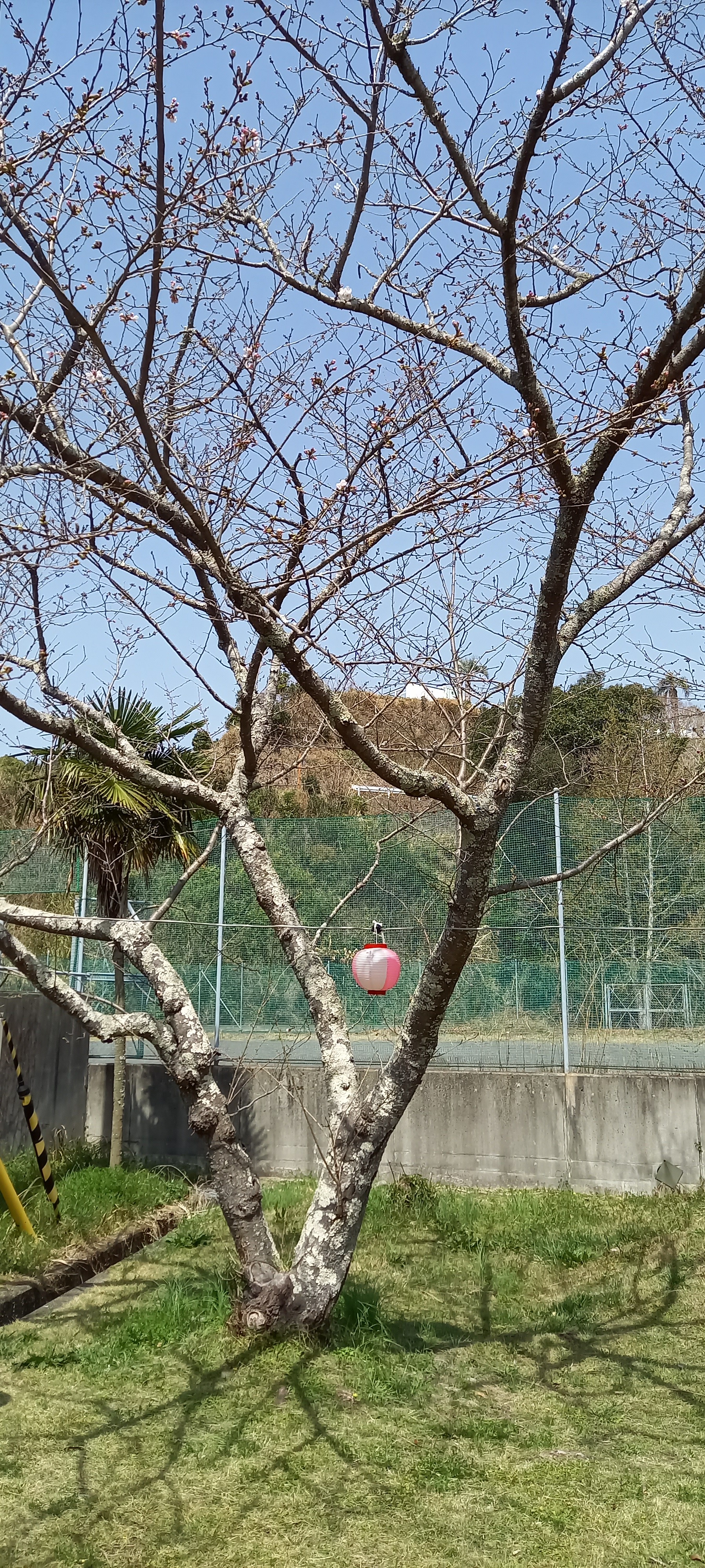 咸陽島公園.jpg
