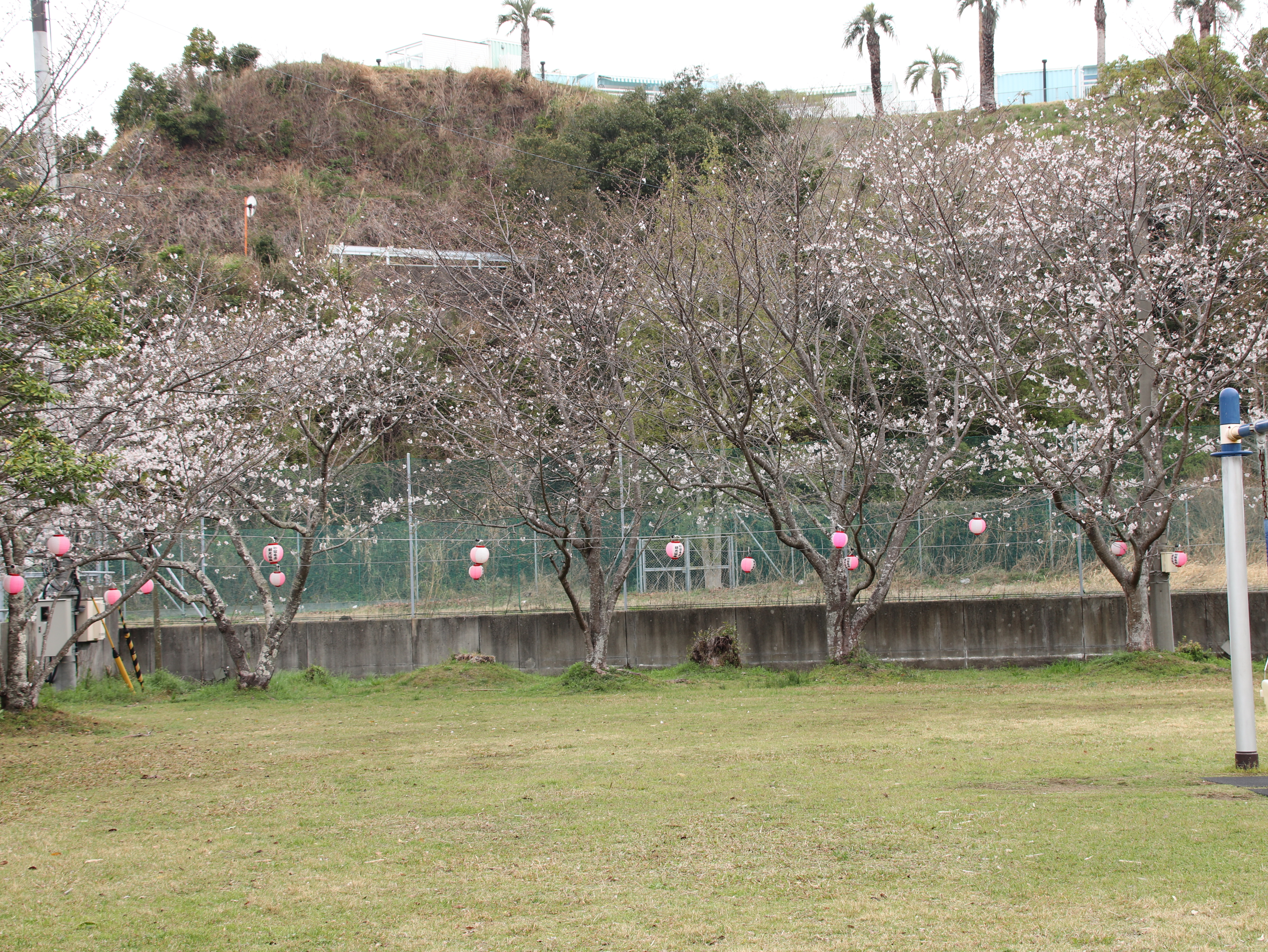 咸陽島公園記事用.JPG
