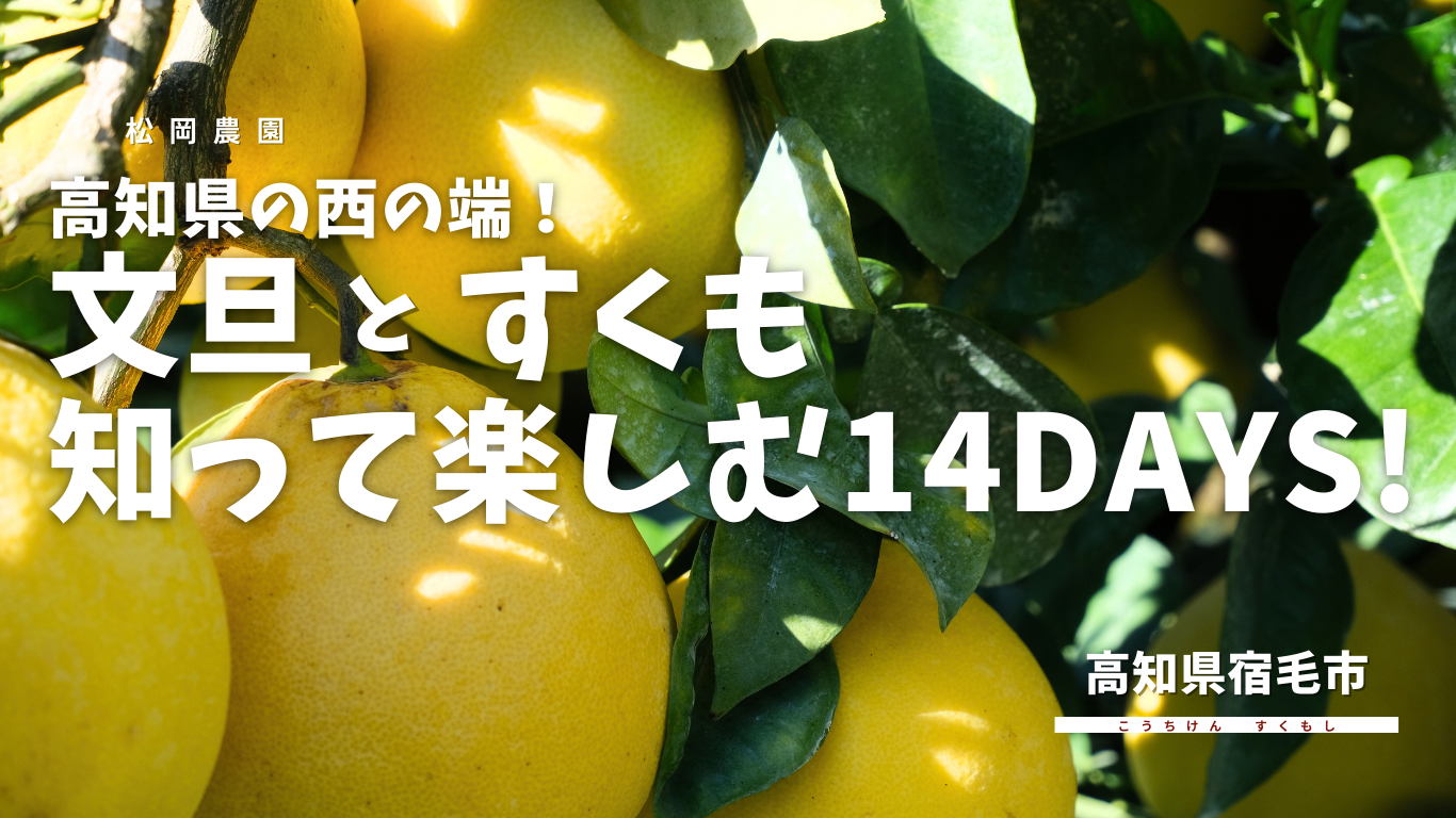 2025ワーホリ宿毛市 (15).png