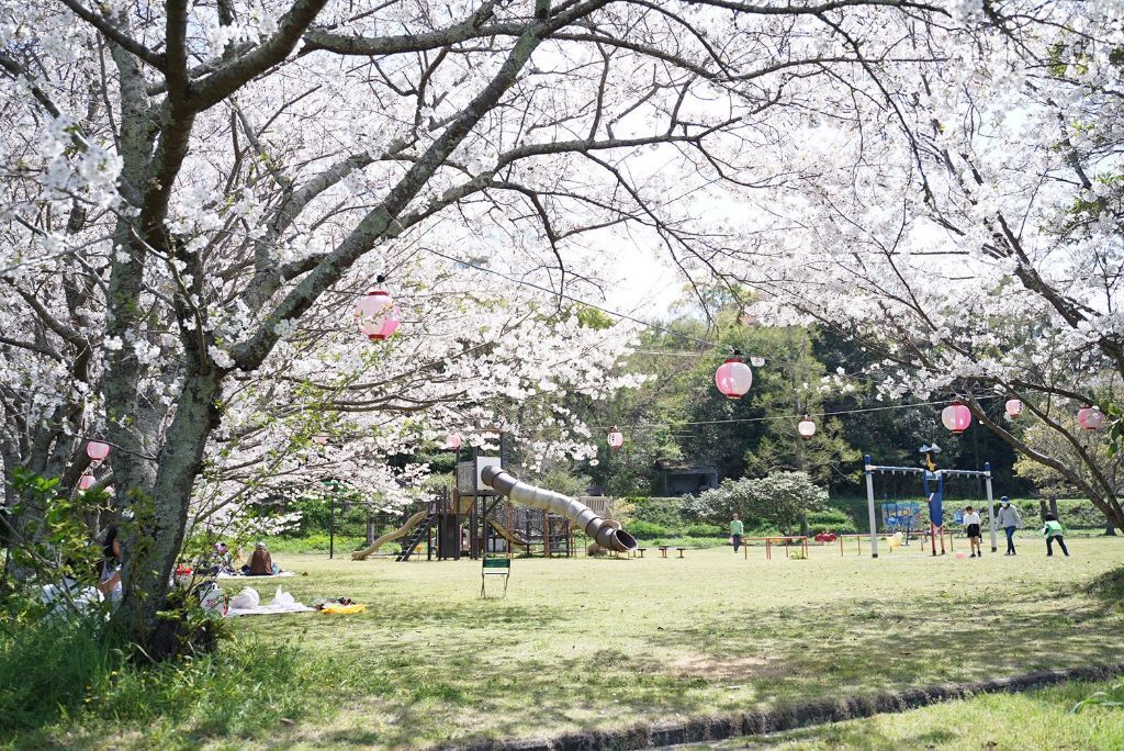 咸陽島公園.jpg