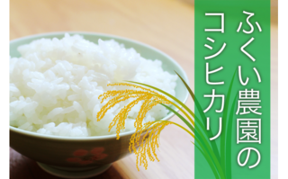 fukui_kome-cleaned.png