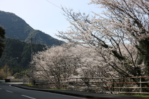 橋上町橋上写真1