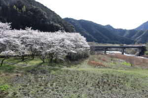 橋上町橋上写真2