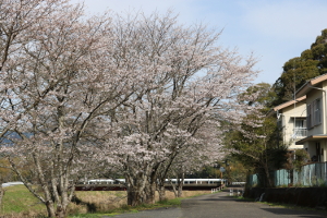 山奈町山田写真1