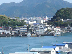 平成16年10月　片島桟橋　椰子より