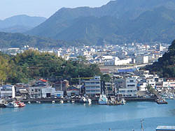 平成16年10月　片島桟橋　椰子より