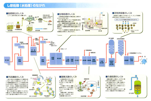 し尿処理（水処理）のながれ