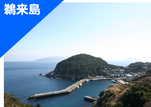 鵜来島