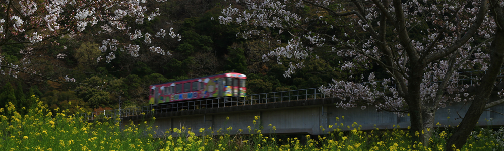 土佐くろしお鉄道の画像