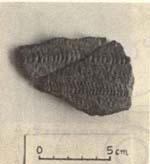 宿毛貝塚出土の繩文中期の土器