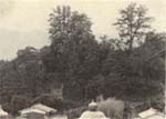 蔵橋城跡(宿毛字城山)