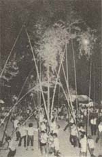 野菜祭り 竹まわし